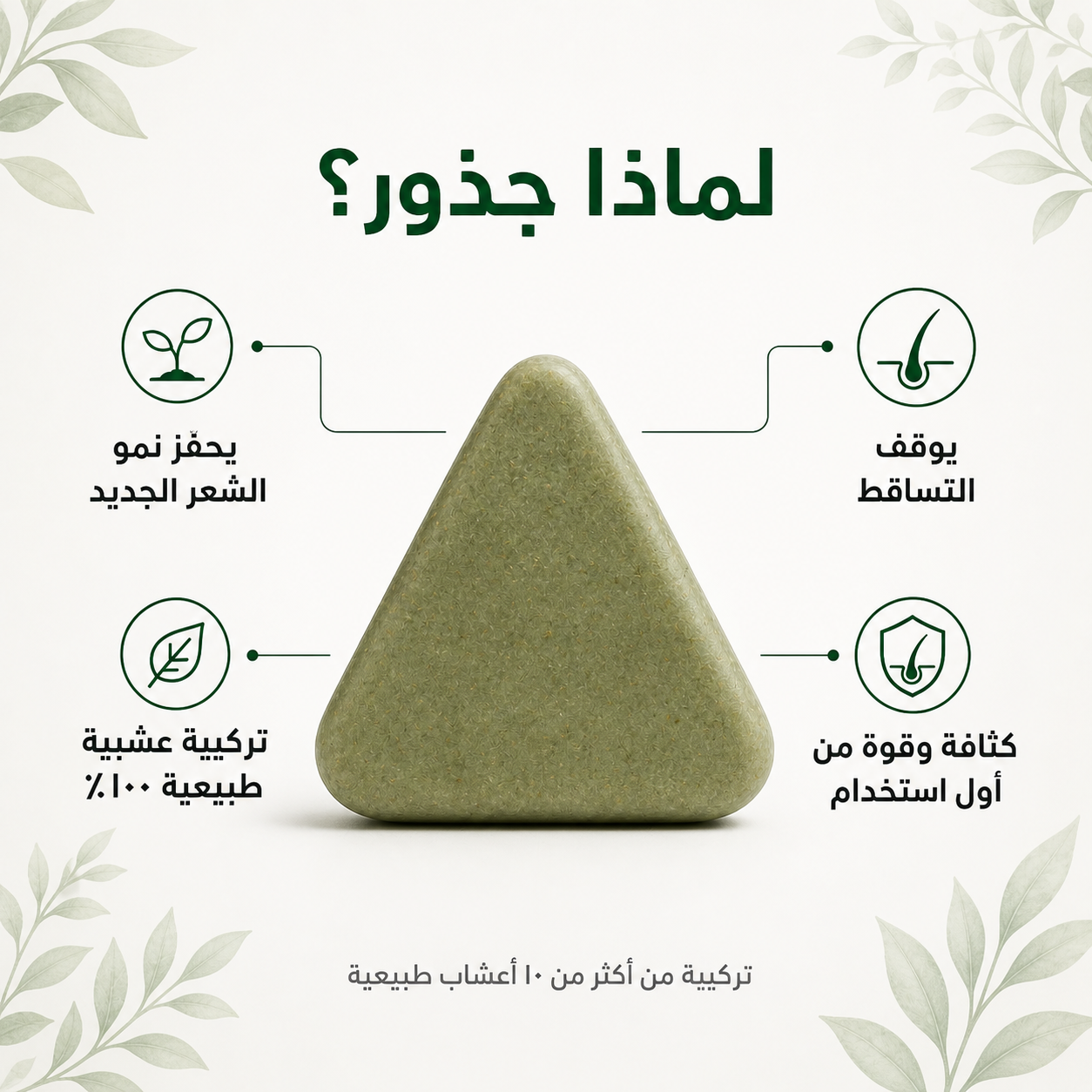 صابونة جذور